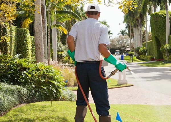 About Saint Stephens Church VA Pest Control